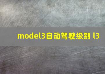 model3自动驾驶级别 l3